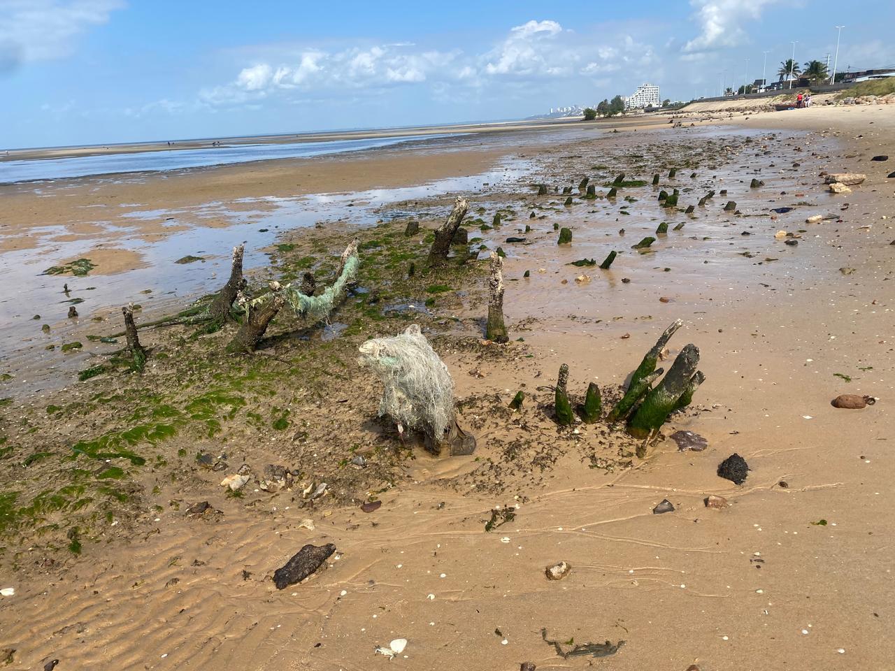 Destrui o Do Ecossistema De Mangal Torna A Ba a De Maputo inf rtil destrui-o-do-ecossistema-de-mangal-torna-a-ba-a-de-maputo-inf-rtil